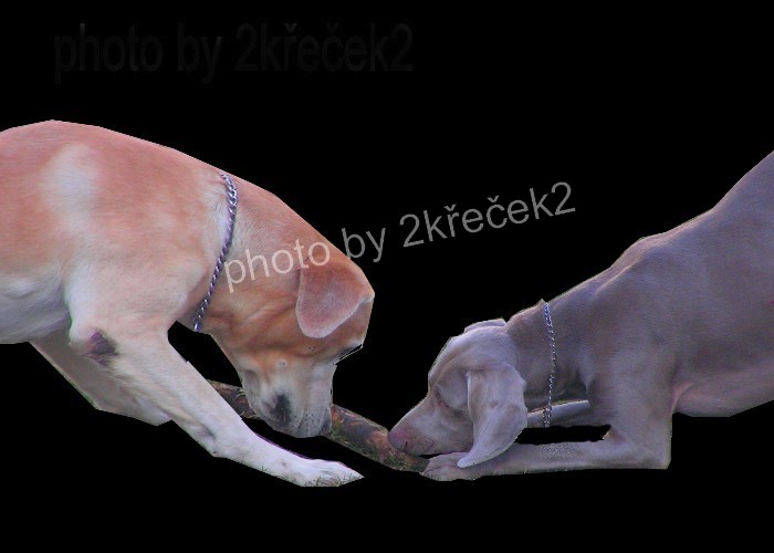 max a pako na ufo.jpg